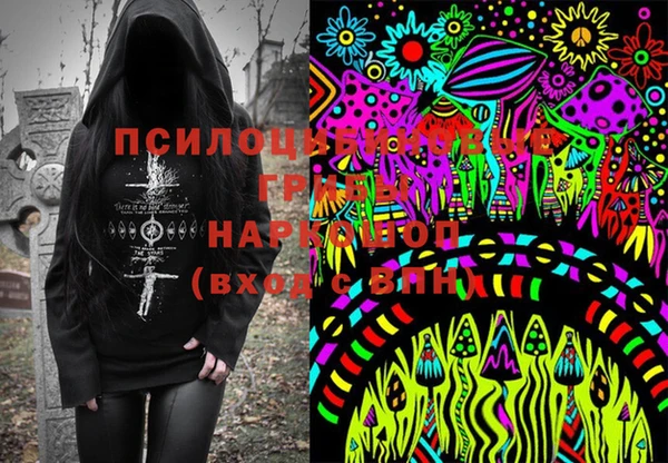 дмт Костерёво