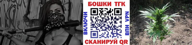 shop наркотические препараты  Тюкалинск  Бошки Шишки Ganja 